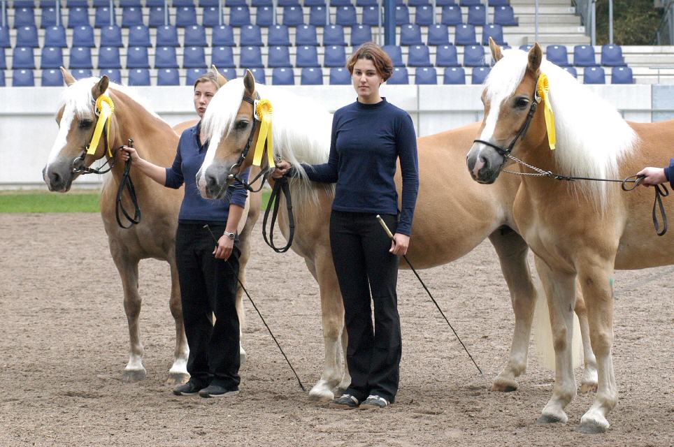  Hethy, Angie und Amy in Aachen 2002