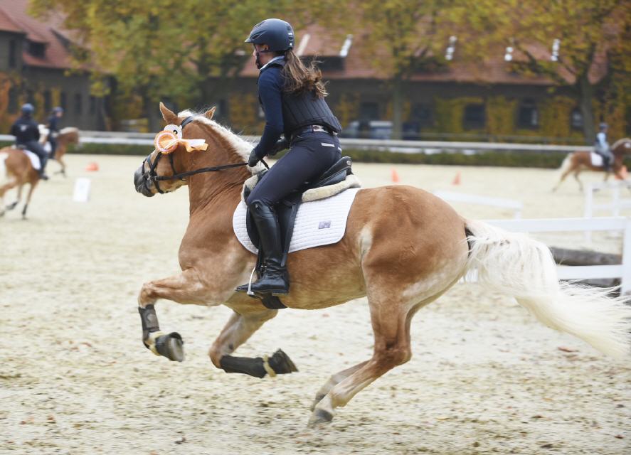 Niclas Boy am Abschlusstag in Warendorf auf der Ehrenrunde